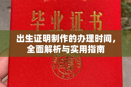西区出生证明制作的办理时间，全面解析与实用指南
